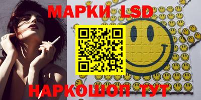 стаф Гатчина