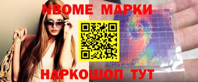 стаф Гатчина