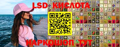 стаф Гатчина