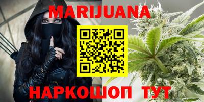 стаф Гатчина