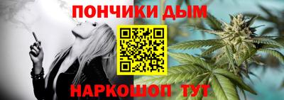 стаф Гатчина