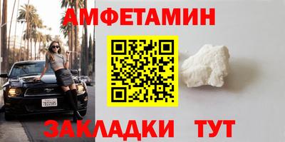 стаф Гатчина