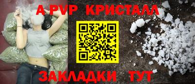 стаф Гатчина
